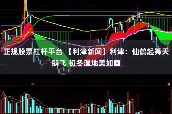 正规股票杠杆平台 【利津新闻】利津：仙鹤起舞天鹅飞 初冬湿地美如画
